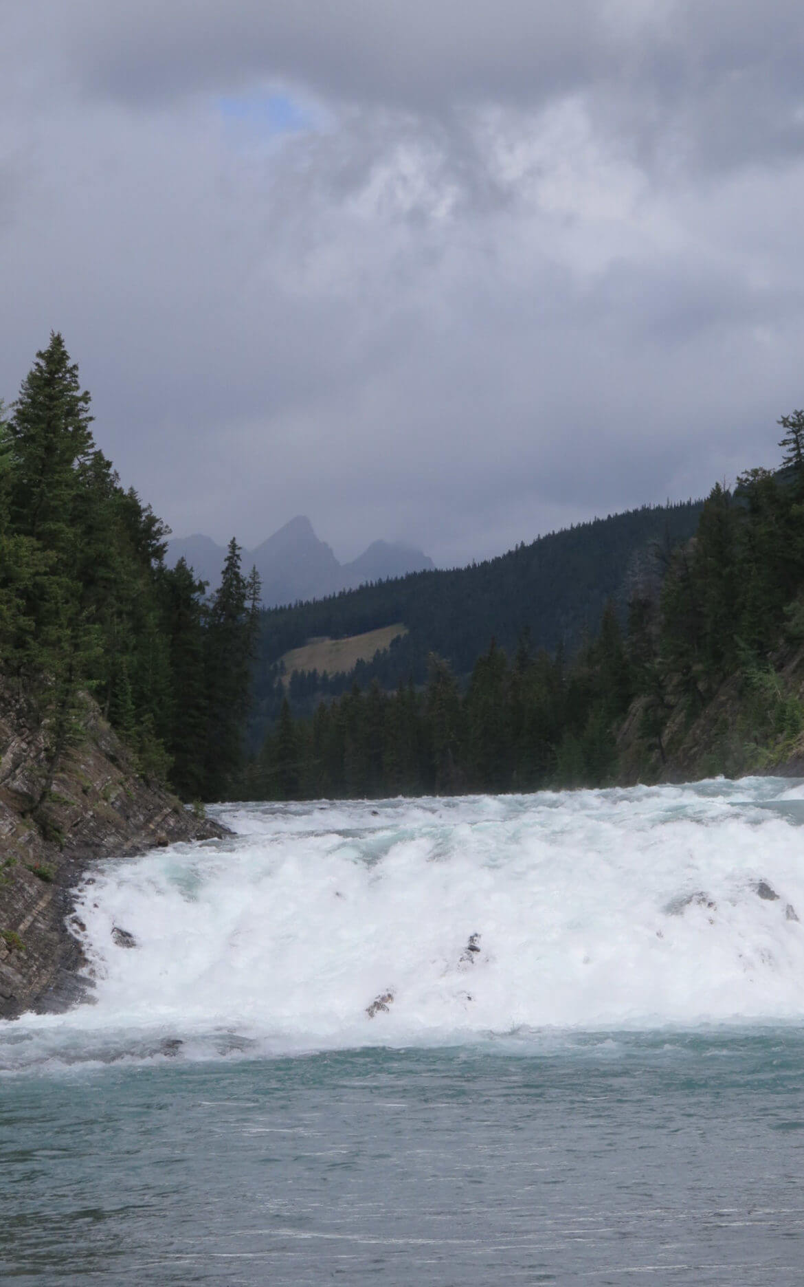 Rote Zedern, Sulphur Mountain und andere Schönheiten