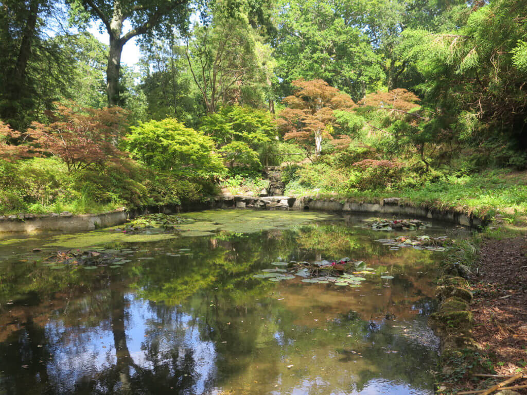 Parklandschaft in Exbury Gardens mit kleiner See