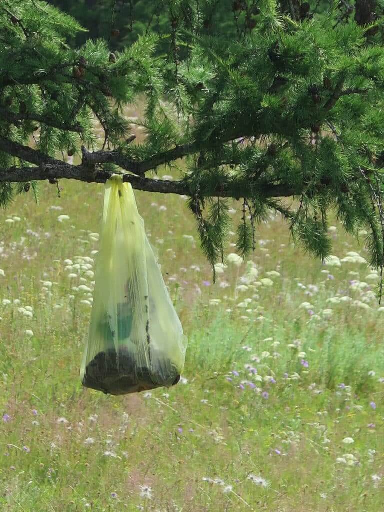 Innereien die in eine Plastiktüte am Baum hängen mit viele Fliegen drin