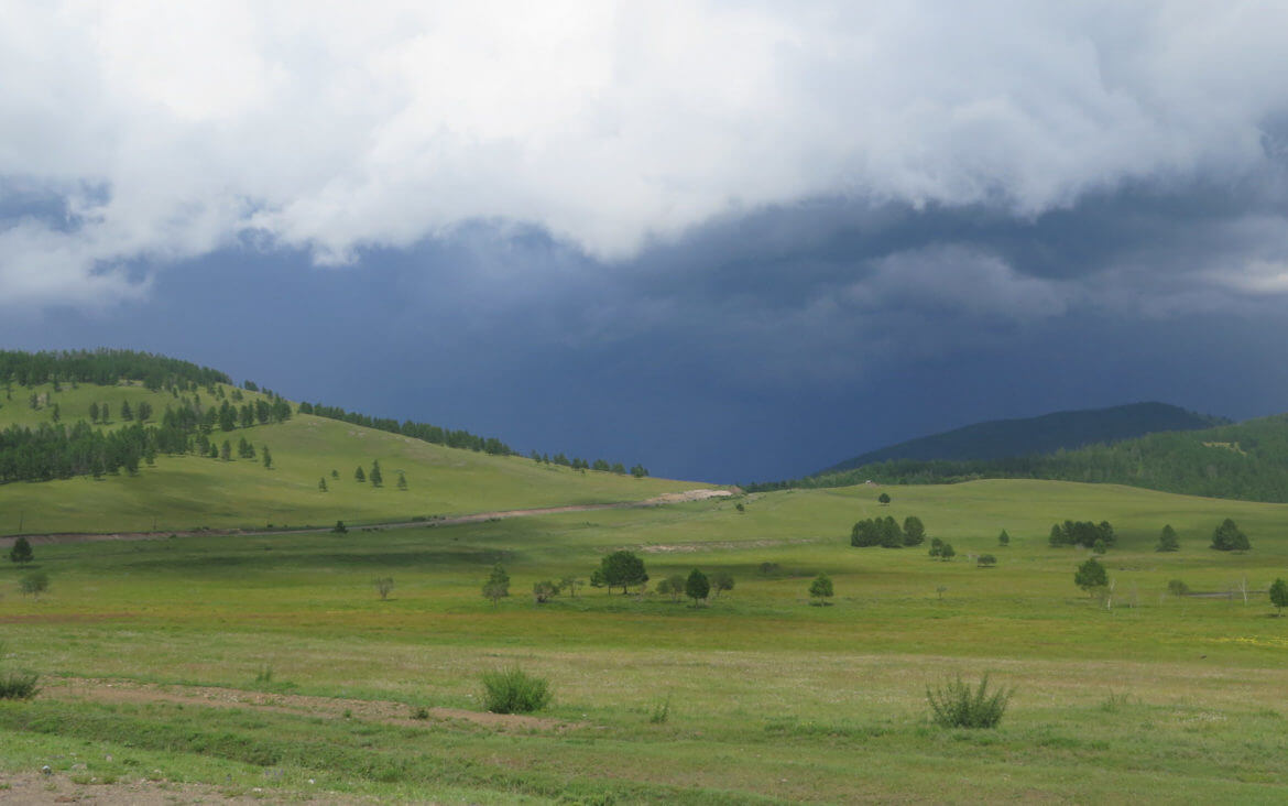 Fifty shades of green: erste Begegnung mit der Mongolei