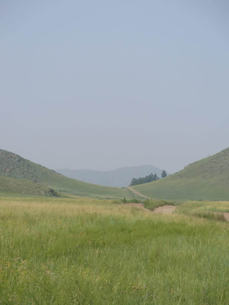 Mongolische Landschaft grüne Bergen