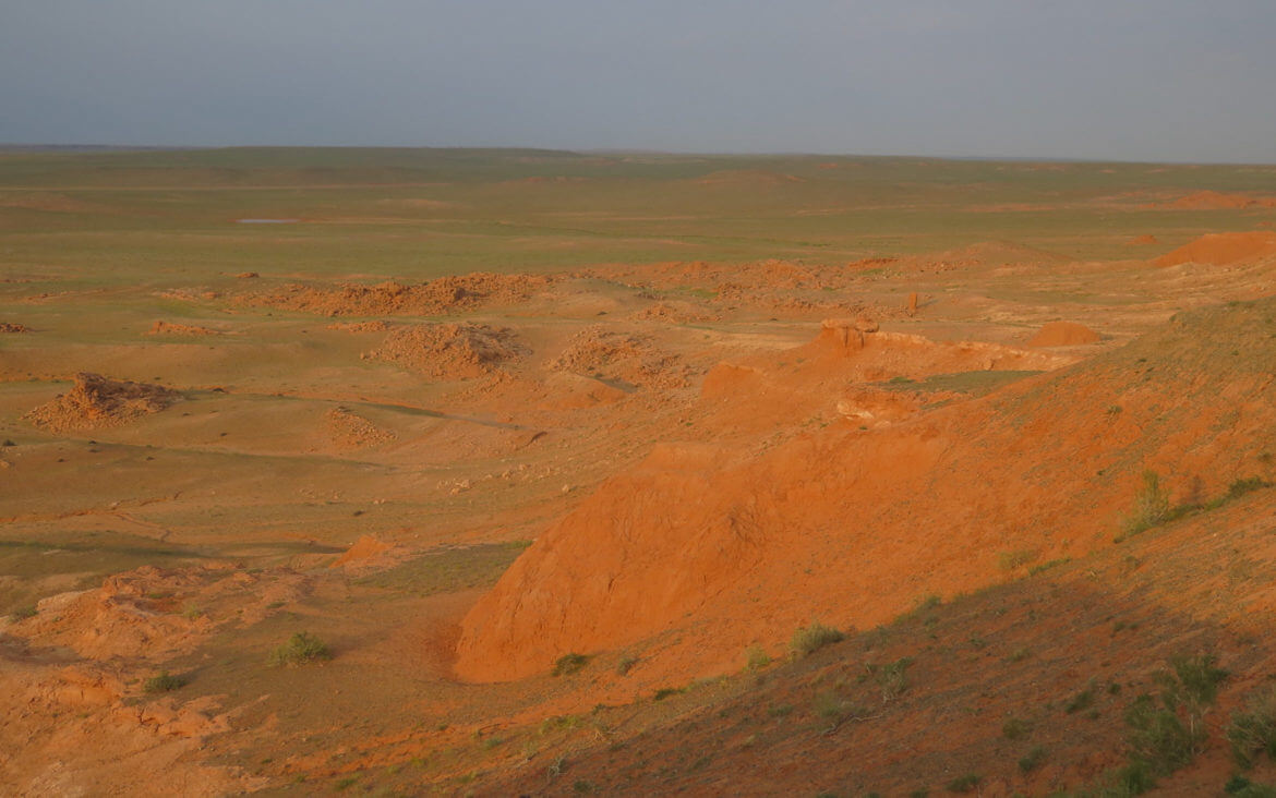 Kamele in der Wüste Gobi und die flammenden Klippen von Bayanzag