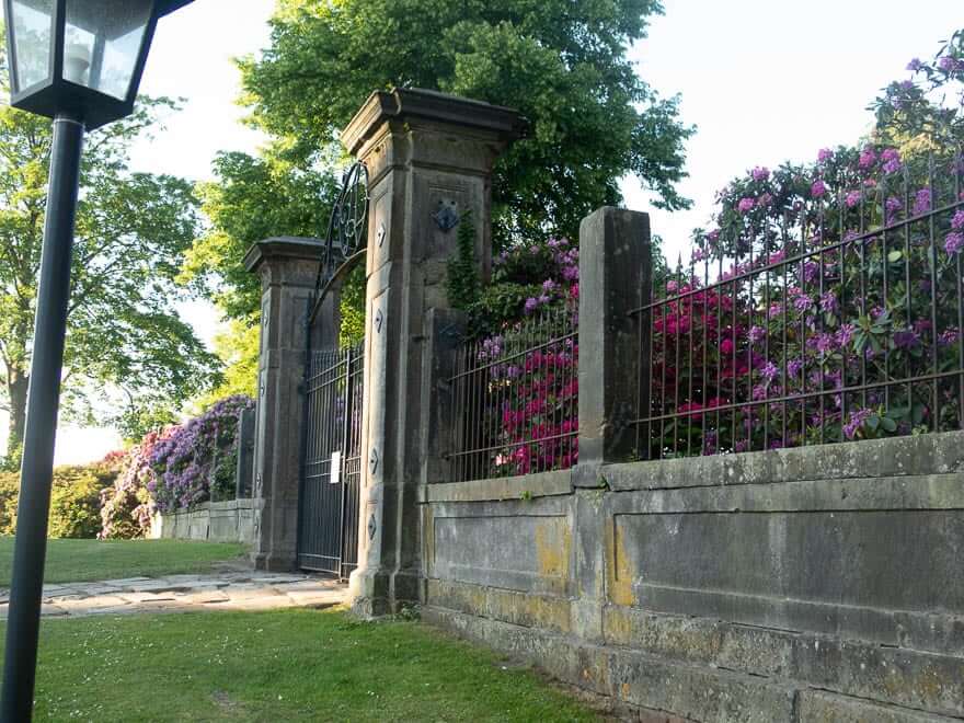 Schmiedeeisernes Tor Burg Bentheim, im Hintergrund Rhodondendron