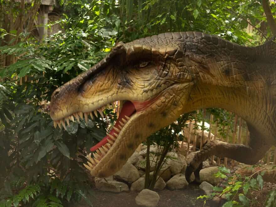 Dinosaurierkopf aus Kunststoff