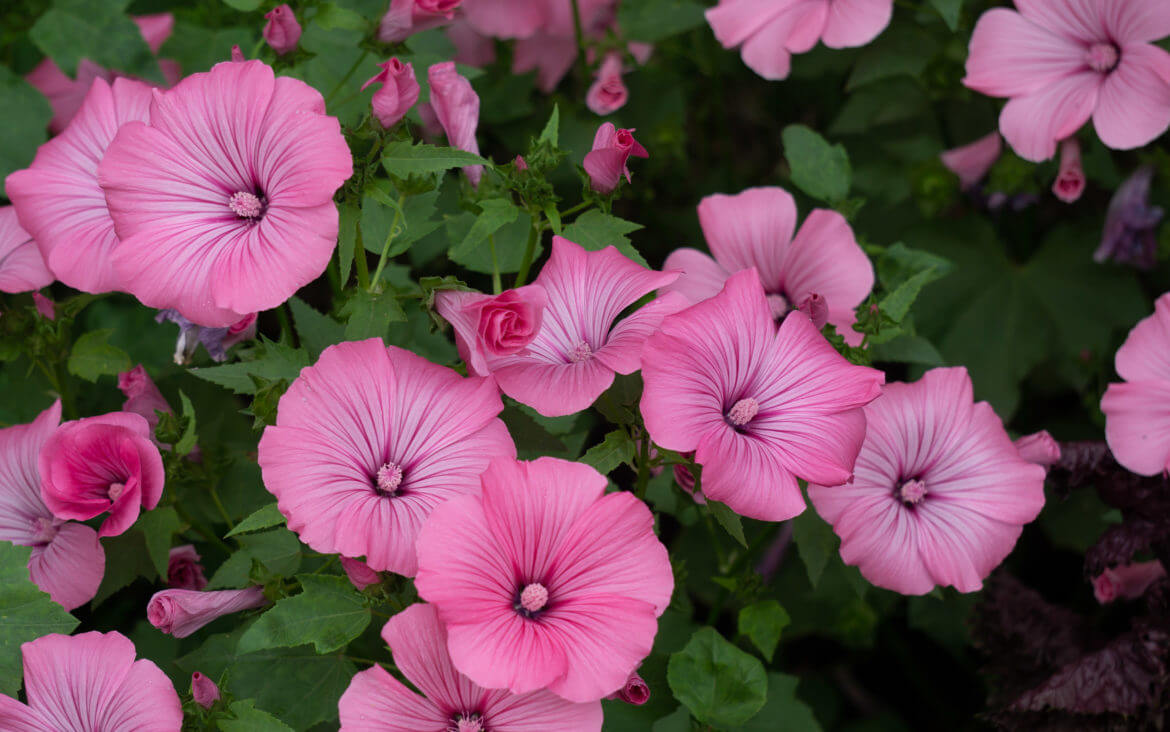 Meine schönsten Bilder 2021 Meine schönsten Bilder 2021 Titelbild